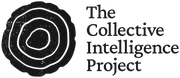 Collective Intelligence Project